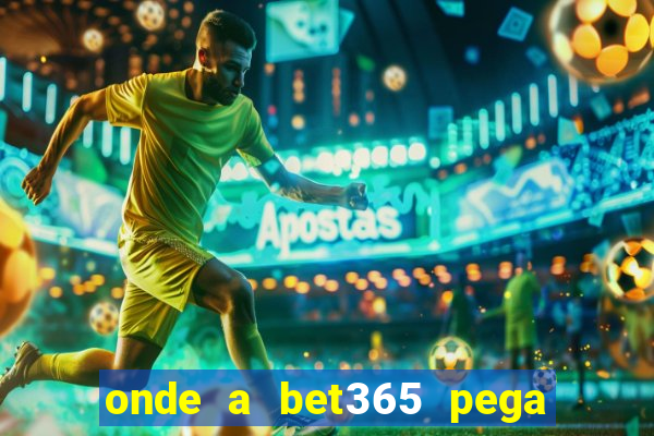 onde a bet365 pega as estatisticas